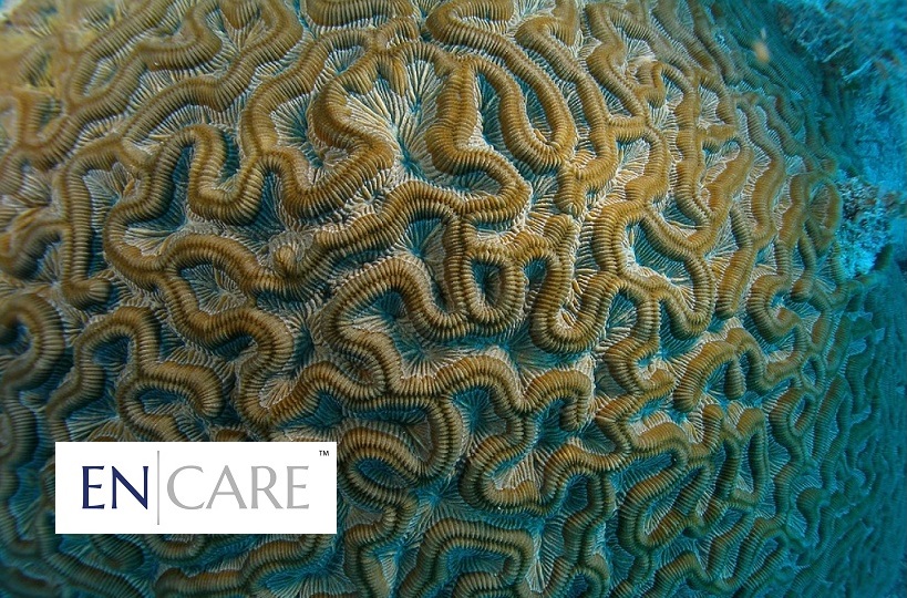 encare